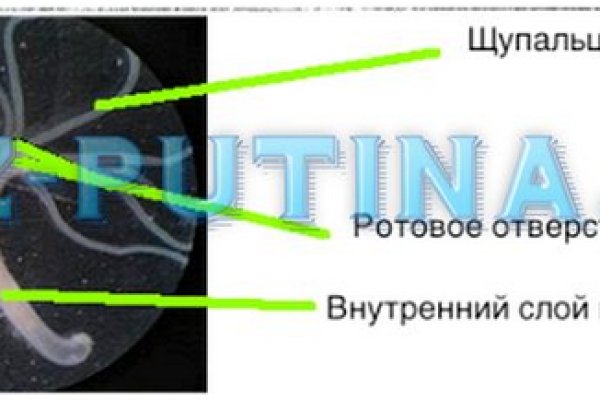 Кракен сайт krknwebs