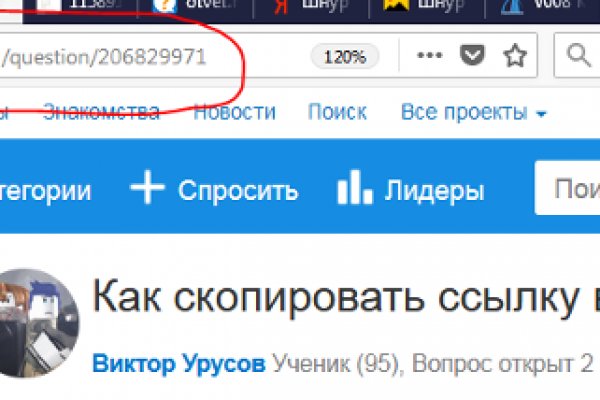 Kra49.cc Вход на сайт главная страница