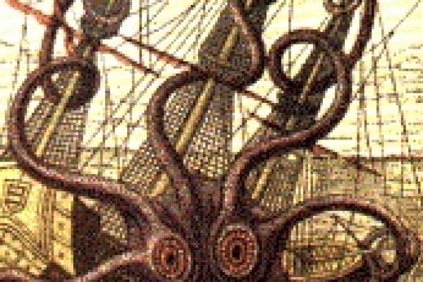 Kraken dark market