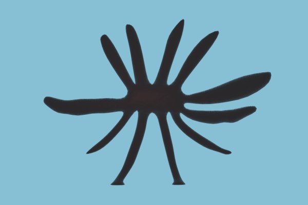 Кракен онион kraken dark link