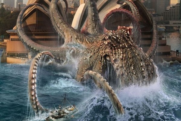 Kraken whitenet ссылка тор