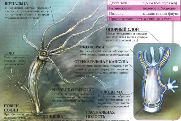 Кракен как войти
